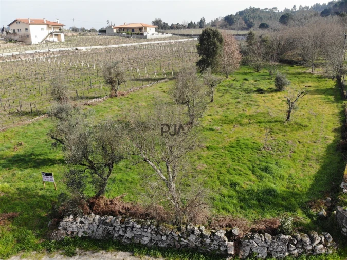 Terreno para Venda em Fornos de Maceira Dão Foto 4