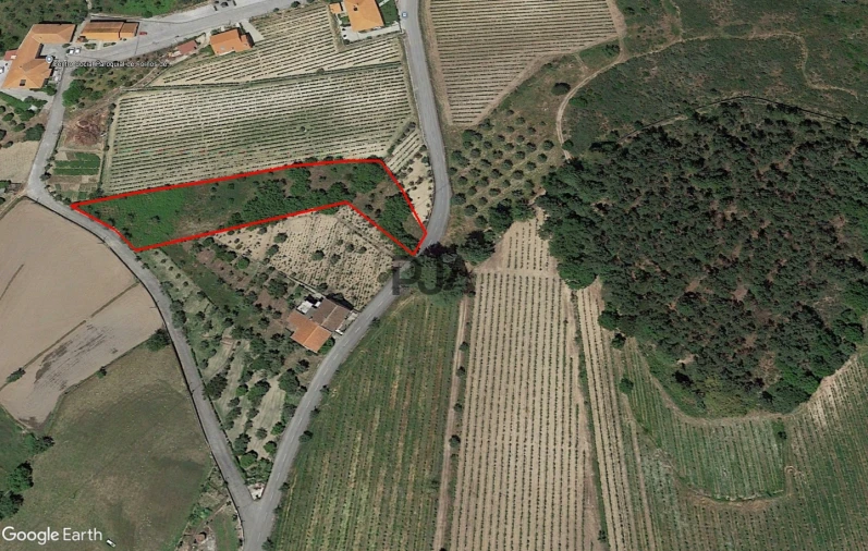 Terreno para Venda em Fornos de Maceira Dão Foto 10