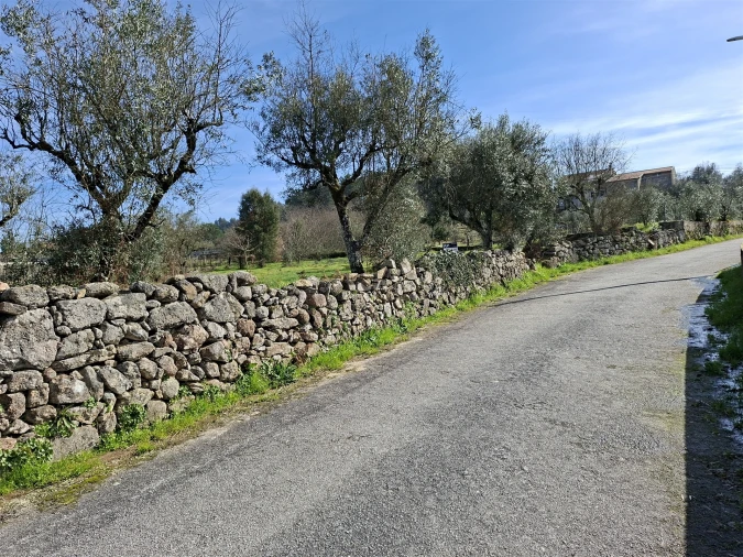 Terreno para Venda em Fornos de Maceira Dão Foto 7