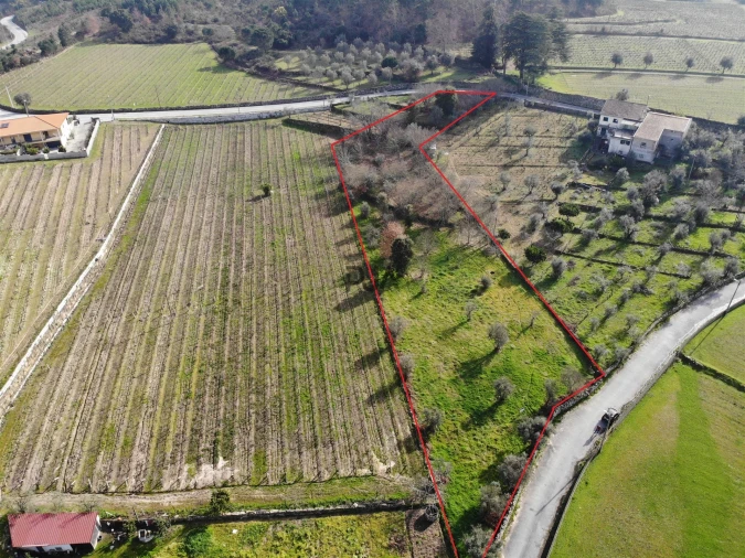 Terreno para Venda em Fornos de Maceira Dão