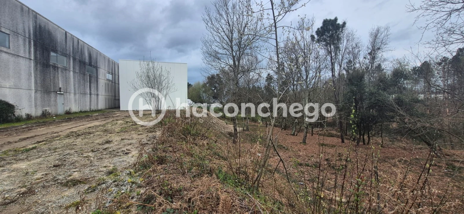 Armazém para Arrendamento em Varzea Foto 22