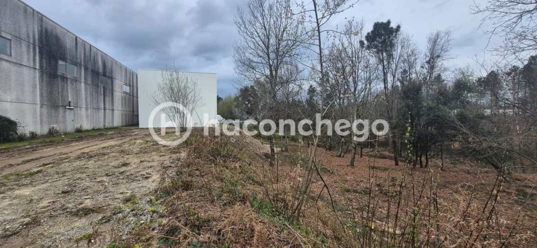 Armazém para Arrendamento em Varzea Foto 22