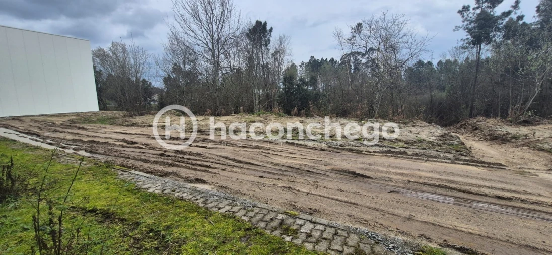 Armazém para Arrendamento em Varzea Foto 21