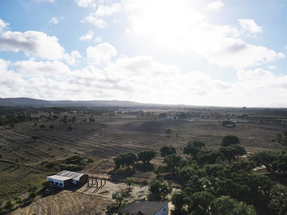 Terreno Agricola ou Rústico para Venda em Grândola e Santa Margarida da Serra Foto 6