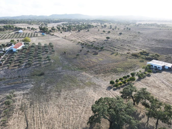 Terreno Agricola ou Rústico para Venda em Grândola e Santa Margarida da Serra Foto 5