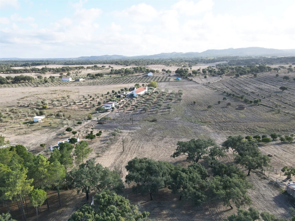 Terreno Agricola ou Rústico para Venda em Grândola e Santa Margarida da Serra Foto 3