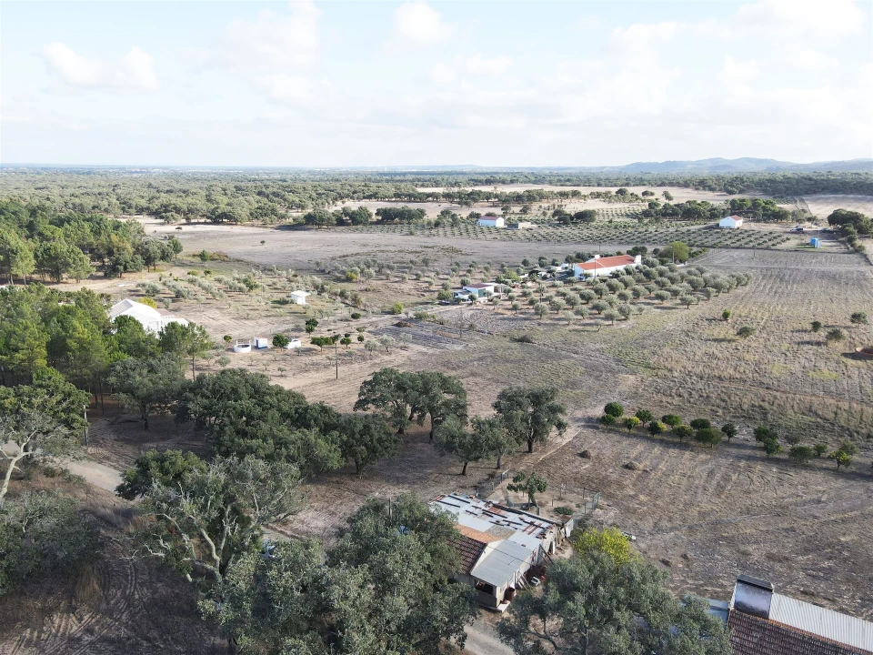 Terreno Agricola ou Rústico para Venda em Grândola e Santa Margarida da Serra Foto 4