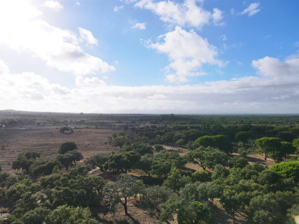 Terreno Agricola ou Rústico para Venda em Grândola e Santa Margarida da Serra Foto 8