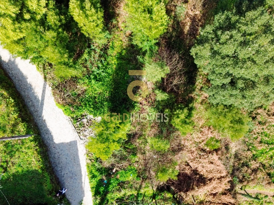 Terreno para Venda em Raiva, Pedorido e Paraíso Foto 4