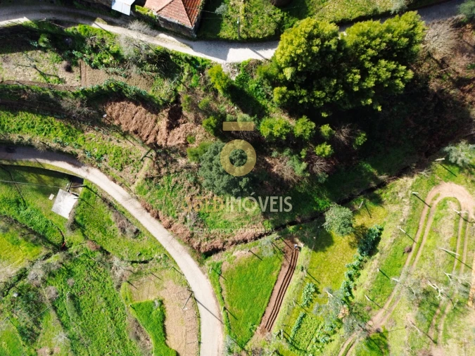 Terreno para Venda em Raiva, Pedorido e Paraíso Foto 1