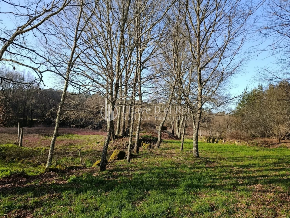 Terreno para Venda em Couto de Baixo e Couto de Cima Foto 6