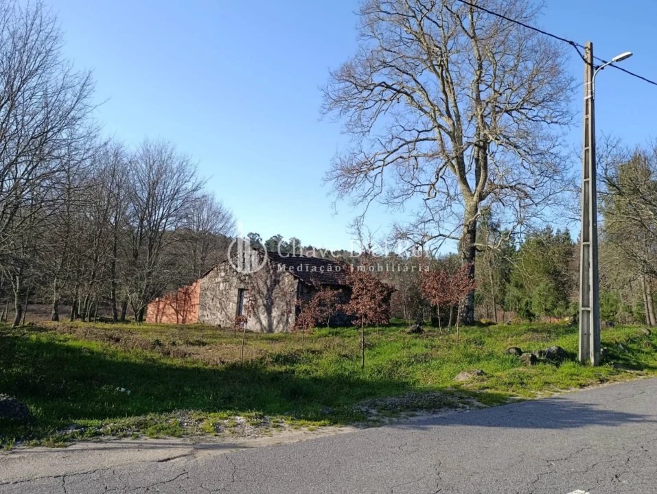 Terreno para Venda em Couto de Baixo e Couto de Cima Foto 13