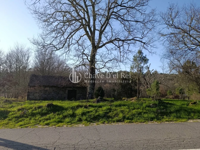 Terreno para Venda em Couto de Baixo e Couto de Cima Foto 14