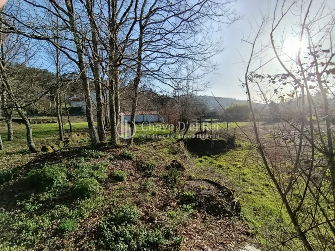 Terreno para Venda em Couto de Baixo e Couto de Cima Foto 2