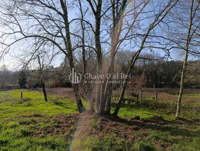 Terreno para Venda em Couto de Baixo e Couto de Cima Foto 7
