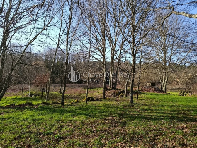 Terreno para Venda em Couto de Baixo e Couto de Cima Foto 8
