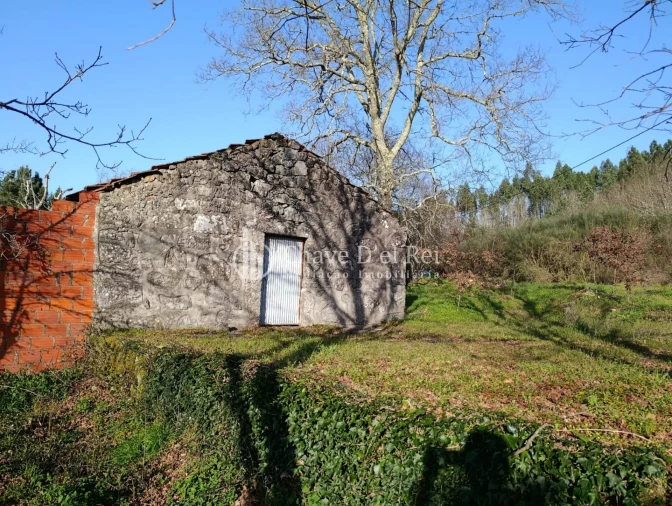 Terreno para Venda em Couto de Baixo e Couto de Cima Foto 10