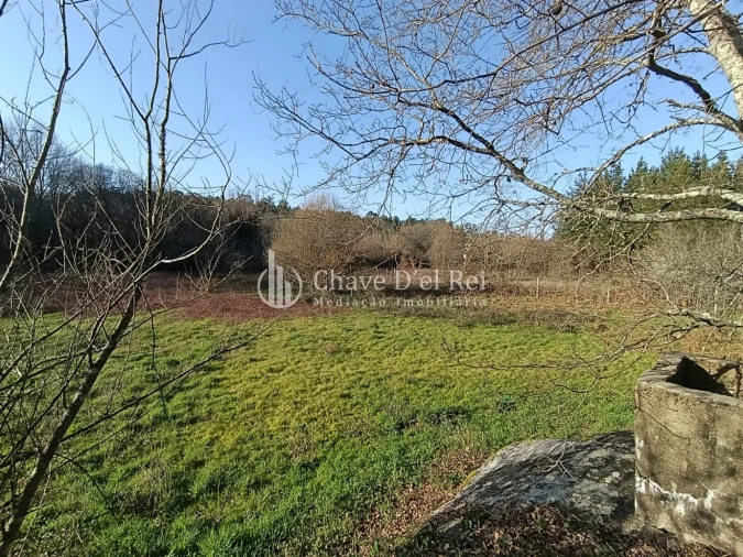 Terreno para Venda em Couto de Baixo e Couto de Cima Foto 3