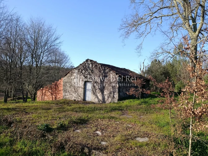 Terreno para Venda em Couto de Baixo e Couto de Cima Foto 11