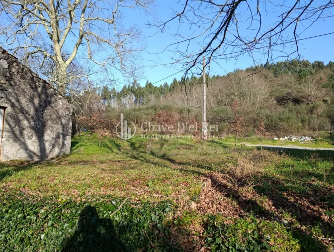 Terreno para Venda em Couto de Baixo e Couto de Cima Foto 9