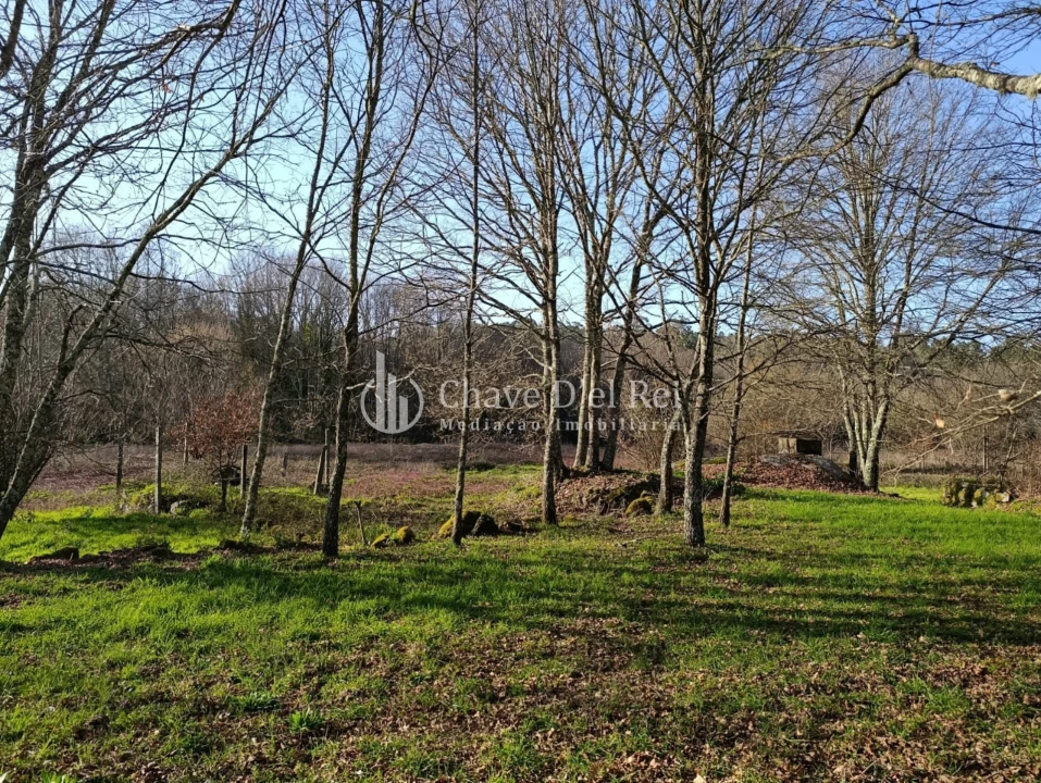 Terreno para Venda em Couto de Baixo e Couto de Cima Foto 8