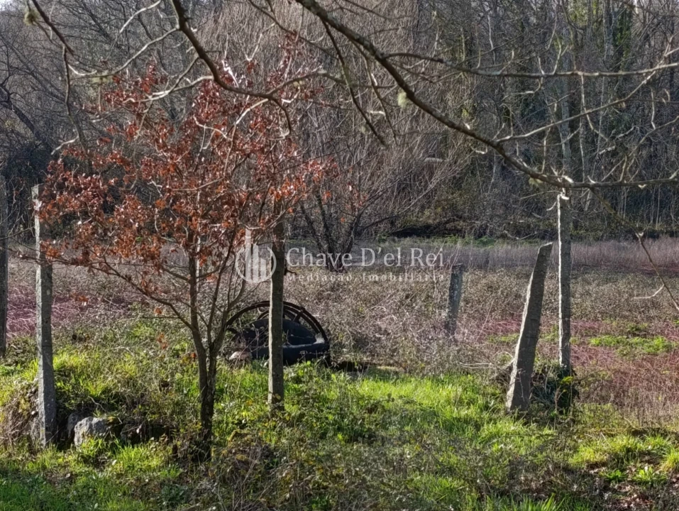 Terreno para Venda em Couto de Baixo e Couto de Cima Foto 12