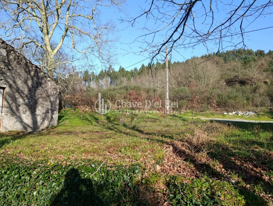 Terreno para Venda em Couto de Baixo e Couto de Cima Foto 9