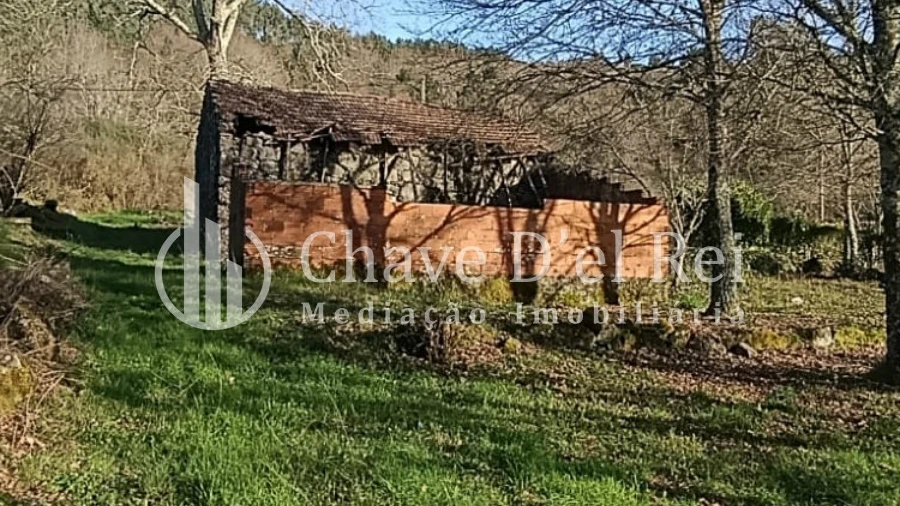 Terreno para Venda em Couto de Baixo e Couto de Cima