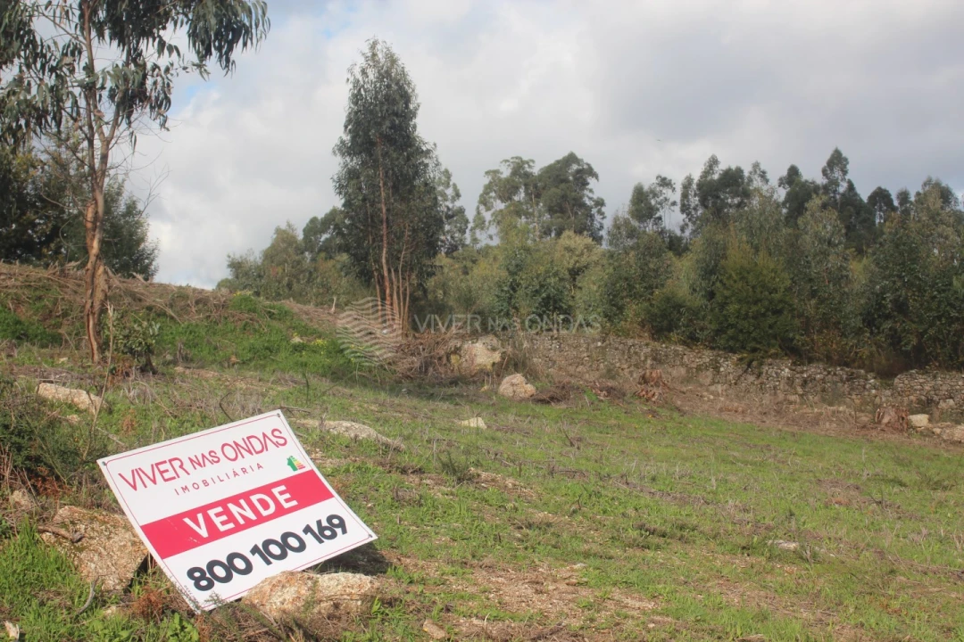 Terreno Agricola ou Rústico para Venda em Santo Tirso, Couto (Santa Cristina e São Miguel) e Burgães Foto 4