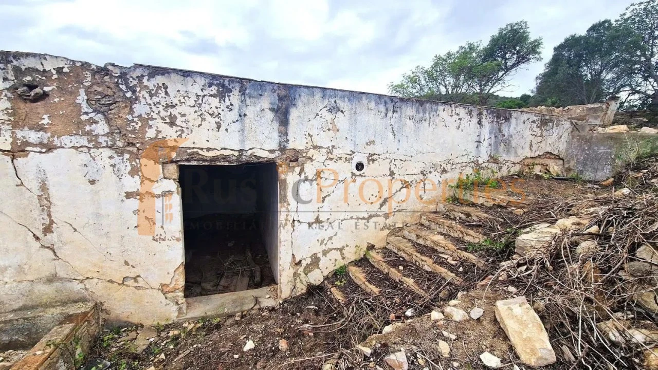 Terreno para Venda em Loule (São Sebastião) Foto 3