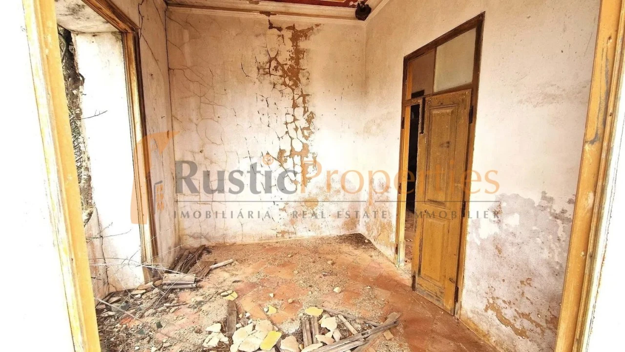 Terreno para Venda em Loule (São Sebastião) Foto 4