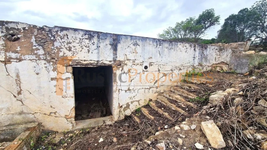 Terreno para Venda em Loule (São Sebastião) Foto 3