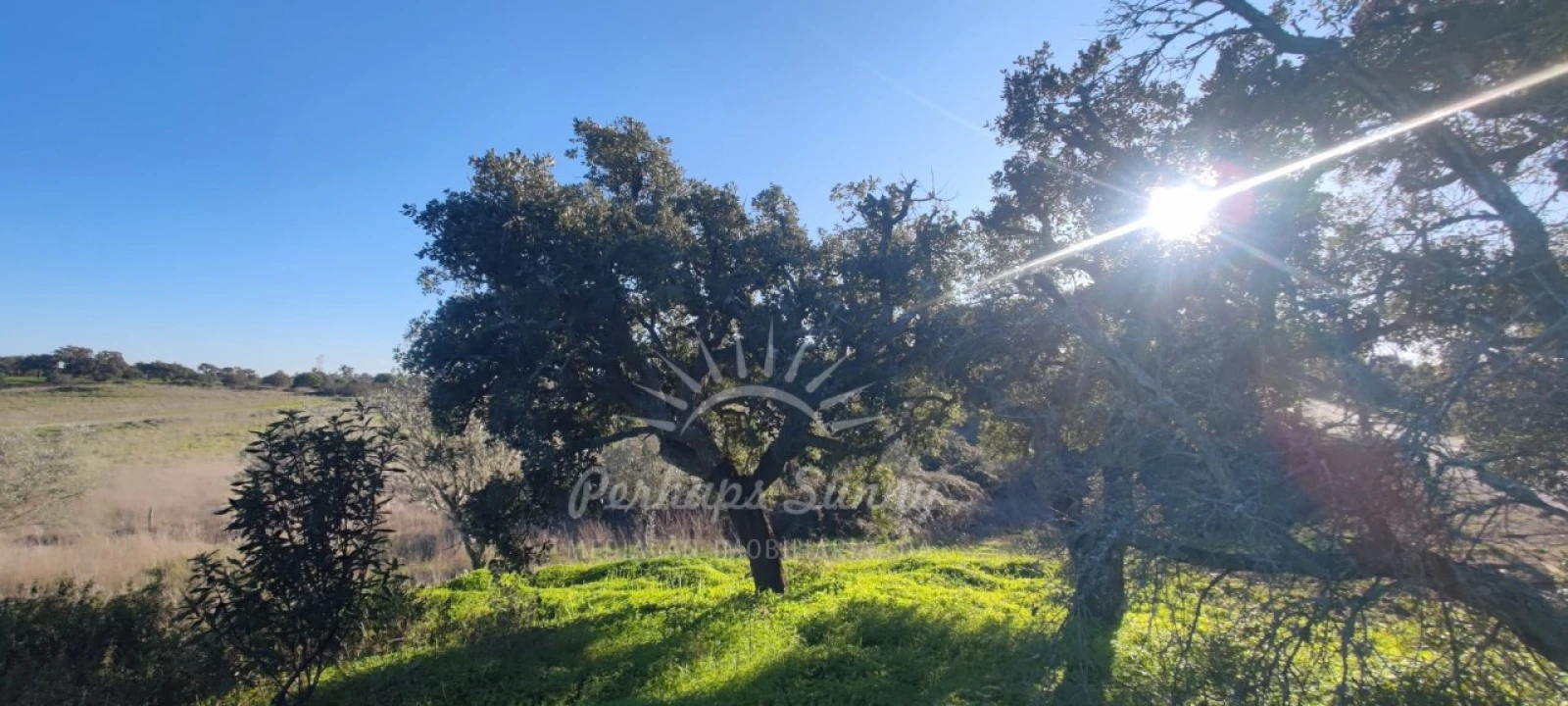 Terreno Agricola ou Rústico para Venda em Grândola e Santa Margarida da Serra Foto 1