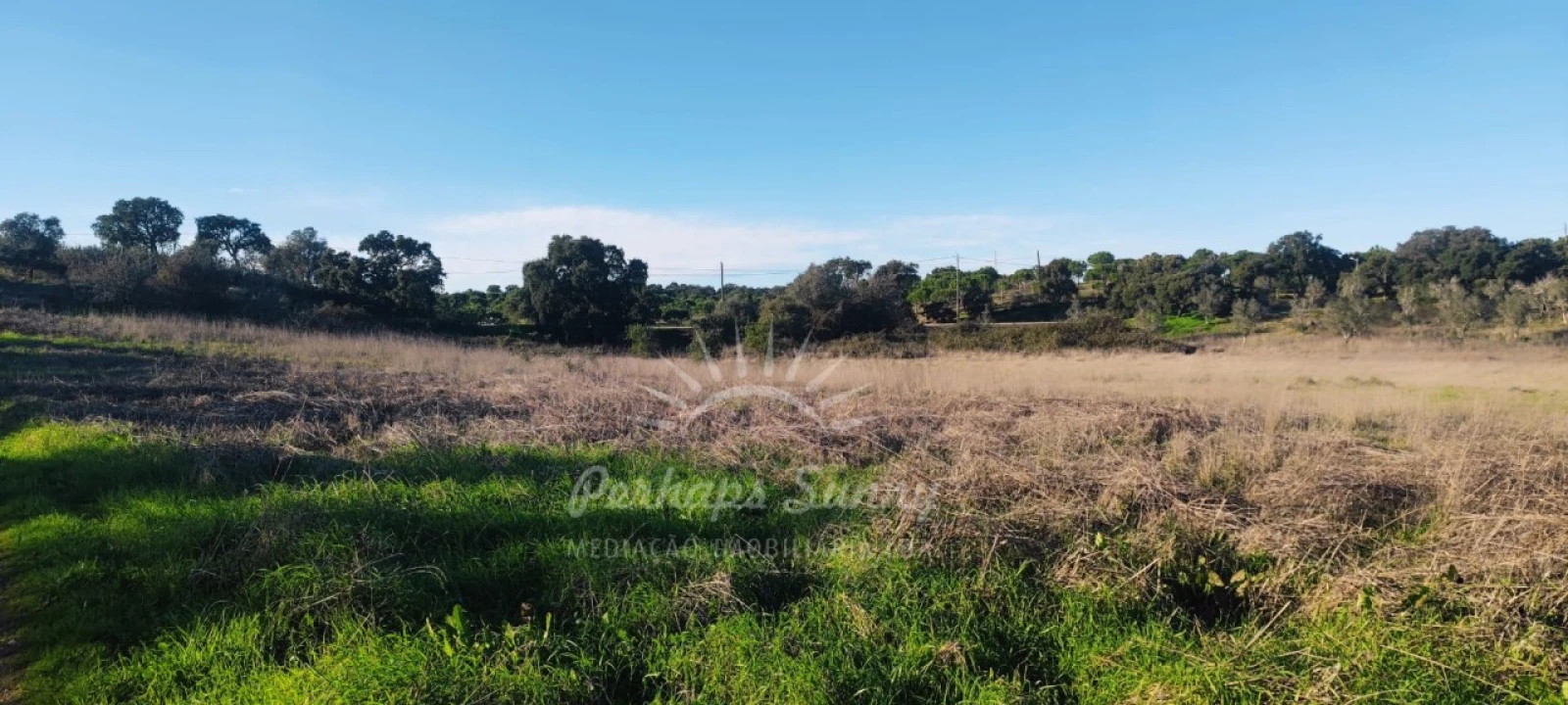 Terreno Agricola ou Rústico para Venda em Grândola e Santa Margarida da Serra Foto 2