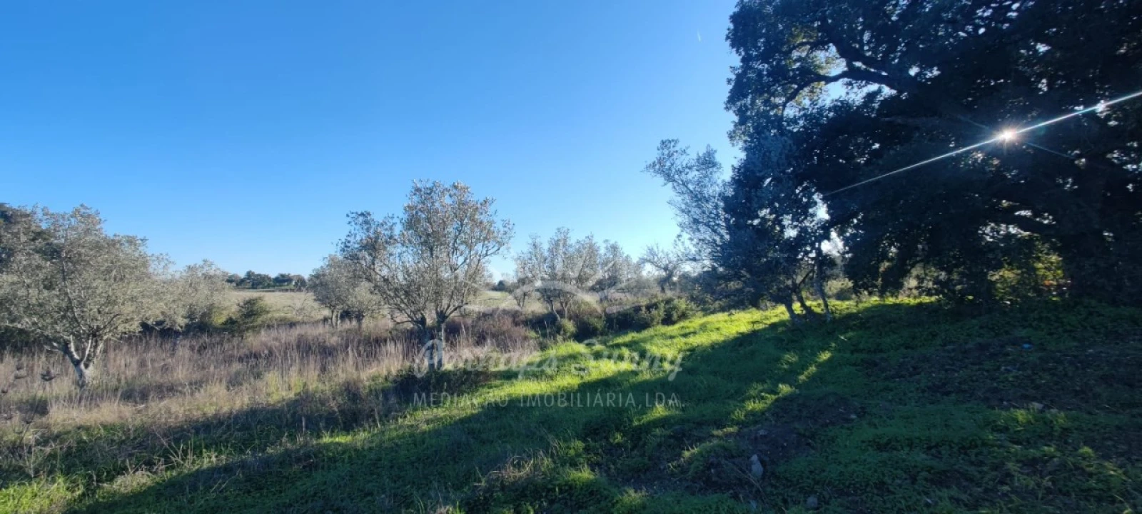 Terreno Agricola ou Rústico para Venda em Grândola e Santa Margarida da Serra Foto 4
