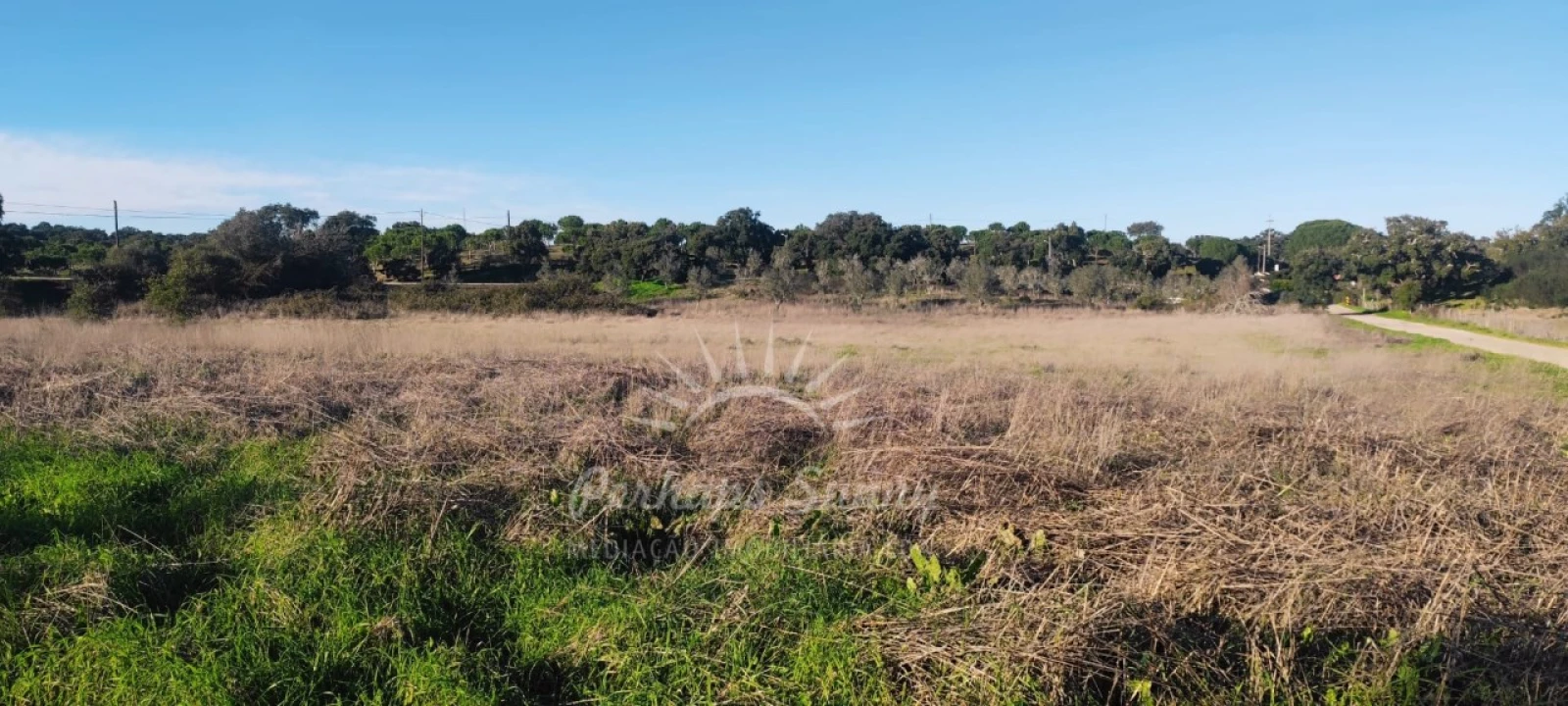 Terreno Agricola ou Rústico para Venda em Grândola e Santa Margarida da Serra Foto 5