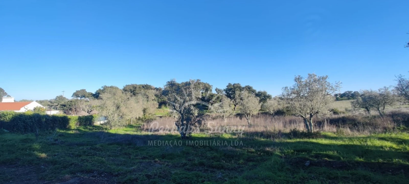 Terreno Agricola ou Rústico para Venda em Grândola e Santa Margarida da Serra Foto 7