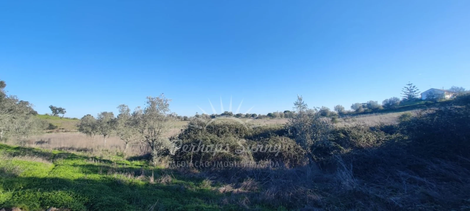 Terreno Agricola ou Rústico para Venda em Grândola e Santa Margarida da Serra Foto 9
