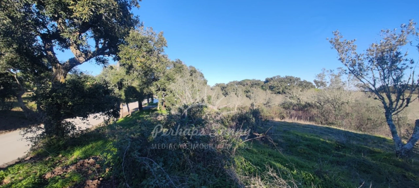 Terreno Agricola ou Rústico para Venda em Grândola e Santa Margarida da Serra Foto 10