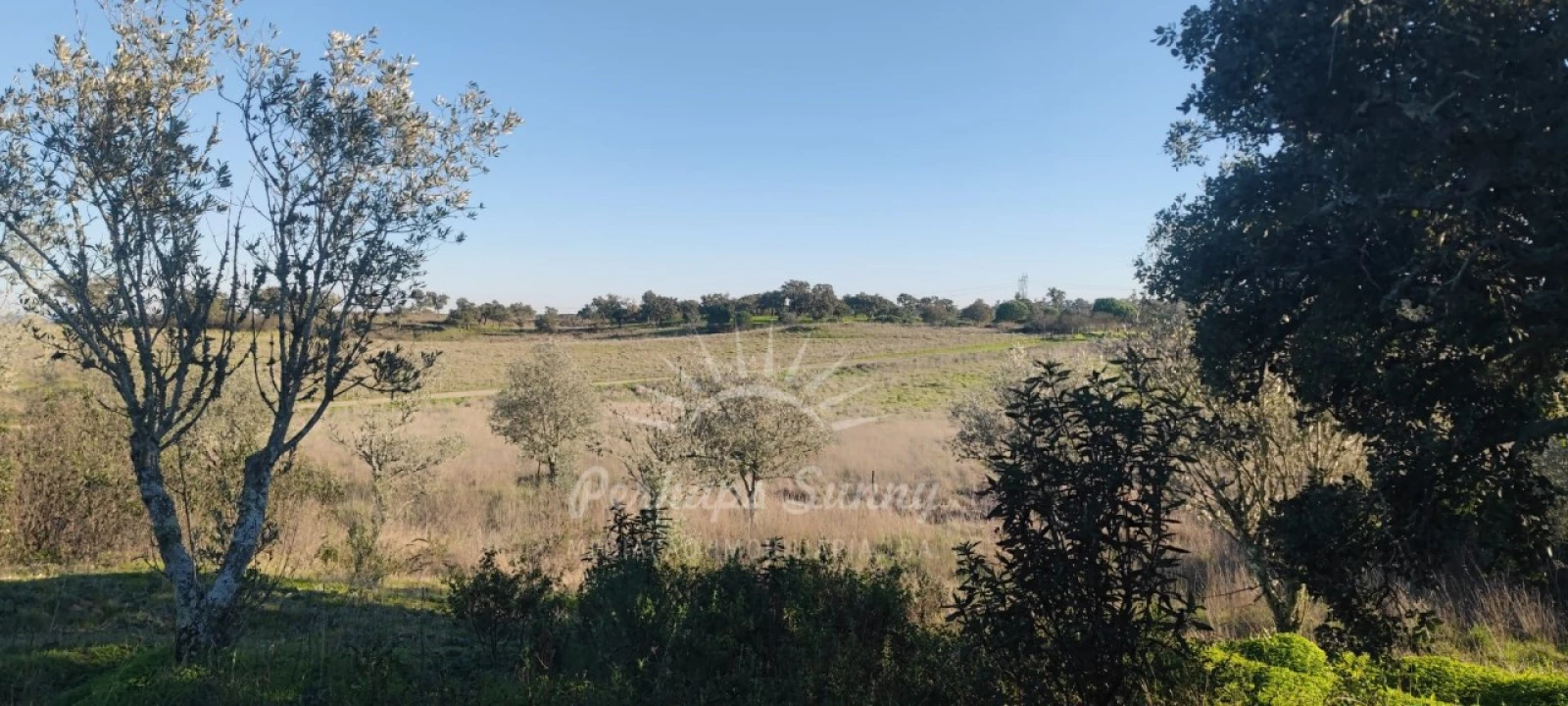 Terreno Agricola ou Rústico para Venda em Grândola e Santa Margarida da Serra Foto 14