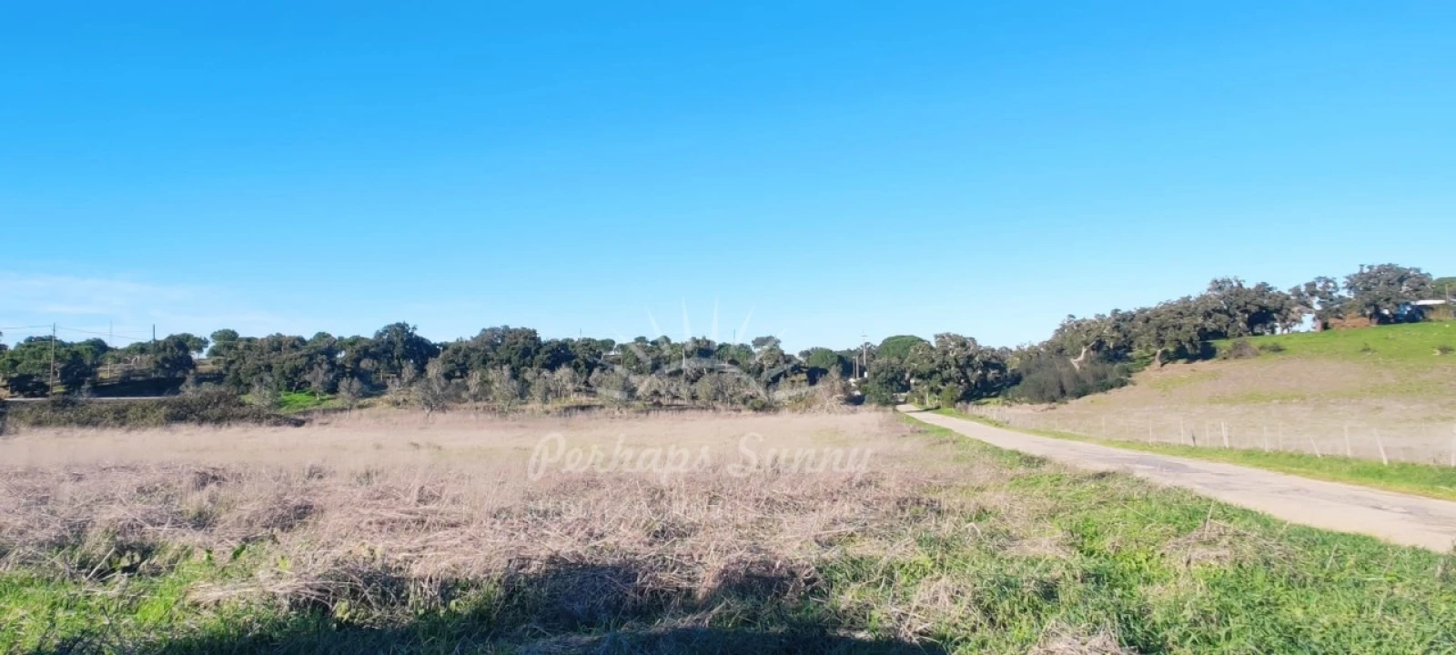 Terreno Agricola ou Rústico para Venda em Grândola e Santa Margarida da Serra Foto 20