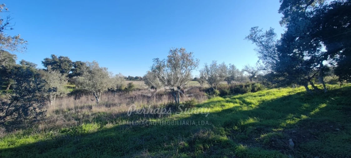 Terreno Agricola ou Rústico para Venda em Grândola e Santa Margarida da Serra Foto 6