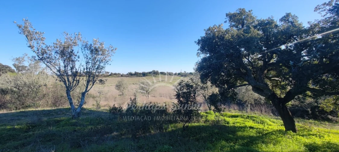Terreno Agricola ou Rústico para Venda em Grândola e Santa Margarida da Serra Foto 12