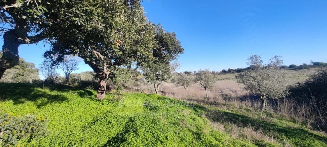 Terreno Agricola ou Rústico para Venda em Grândola e Santa Margarida da Serra Foto 13