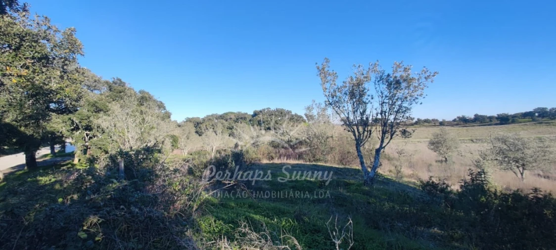 Terreno Agricola ou Rústico para Venda em Grândola e Santa Margarida da Serra Foto 15