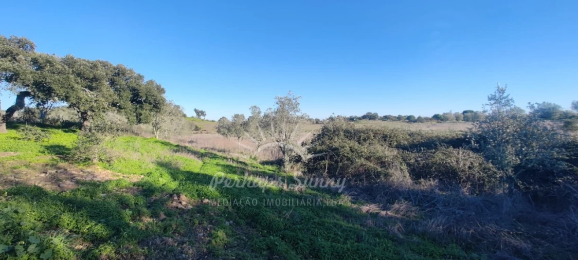 Terreno Agricola ou Rústico para Venda em Grândola e Santa Margarida da Serra Foto 16