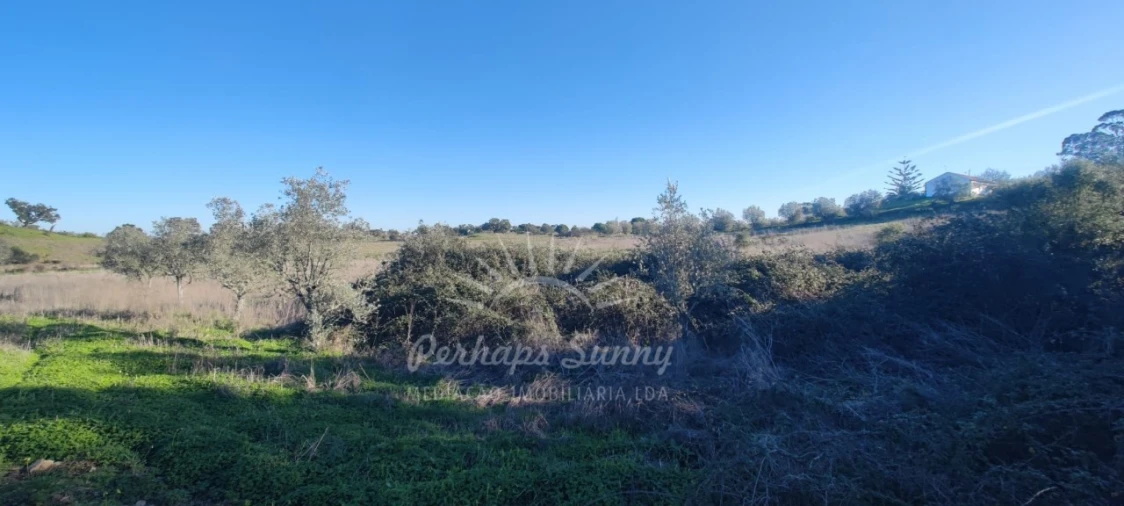 Terreno Agricola ou Rústico para Venda em Grândola e Santa Margarida da Serra Foto 17