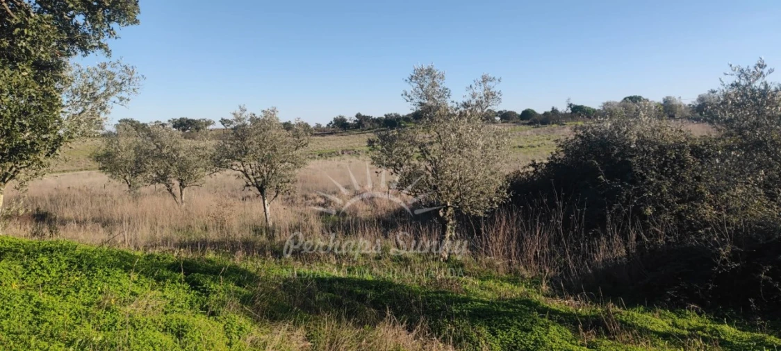 Terreno Agricola ou Rústico para Venda em Grândola e Santa Margarida da Serra Foto 18