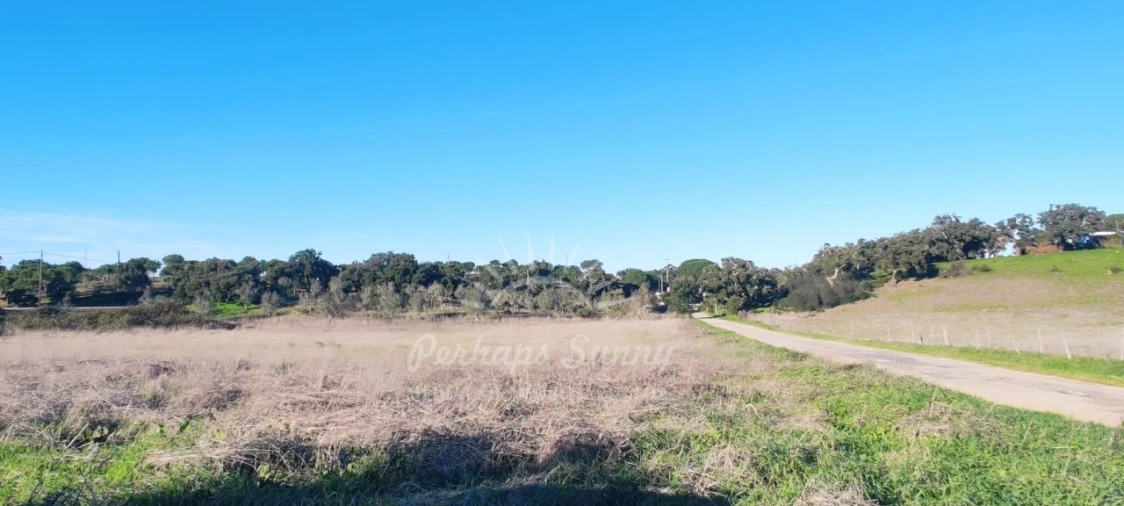 Terreno Agricola ou Rústico para Venda em Grândola e Santa Margarida da Serra Foto 20