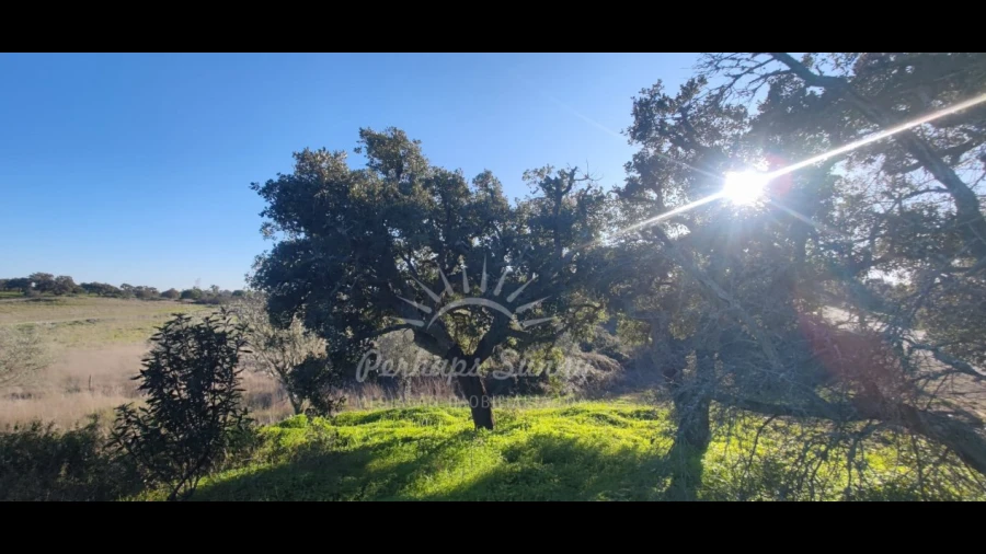 Terreno Agricola ou Rústico para Venda em Grândola e Santa Margarida da Serra